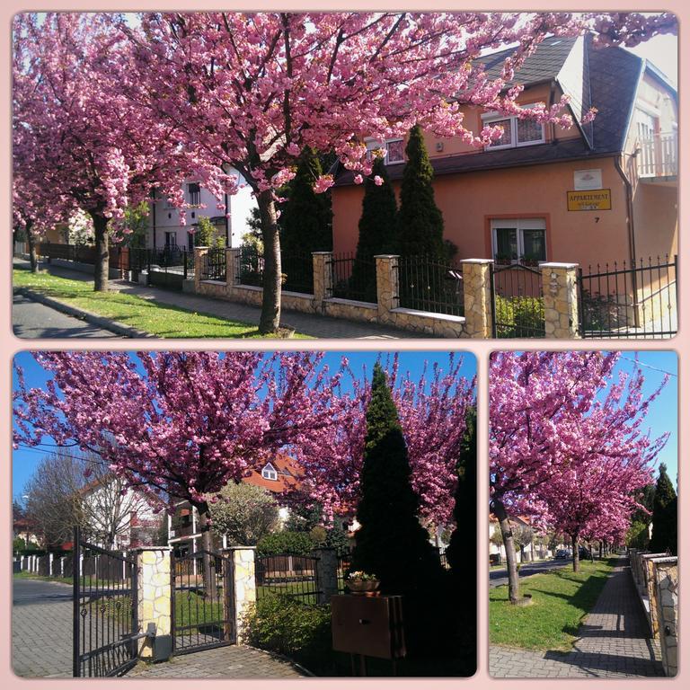 Szecsenyi Apartman Hévíz 外观 照片